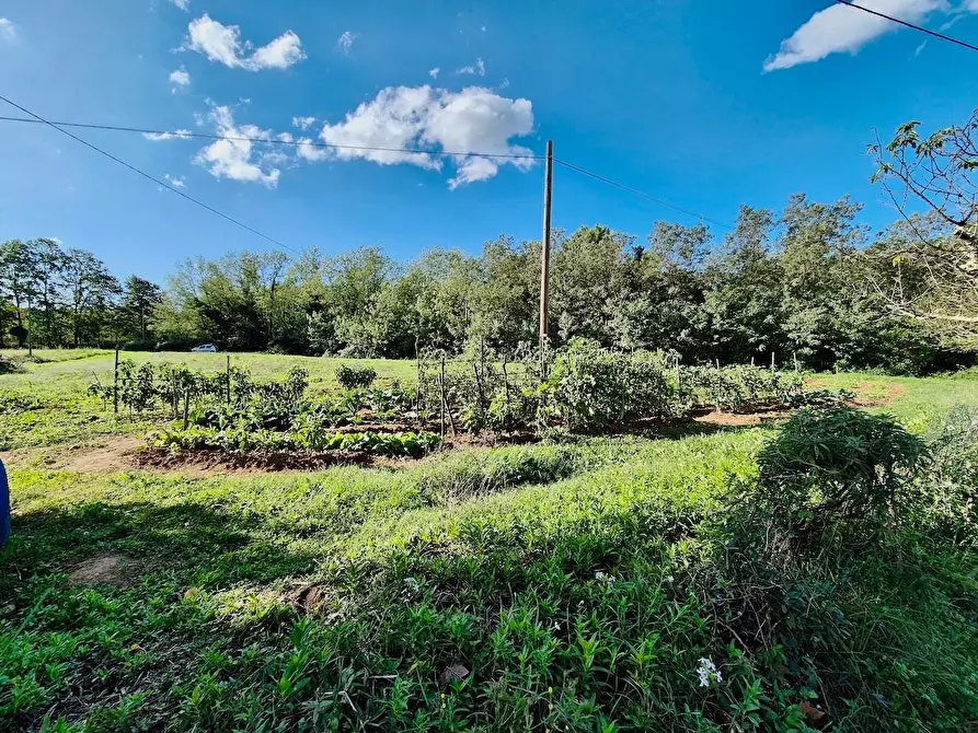 Immagine 11 di Rustico / casale in vendita  a Santa Croce Sull'arno