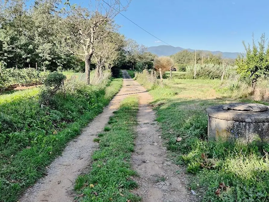 Immagine 10 di Rustico / casale in vendita  a Santa Croce Sull'arno