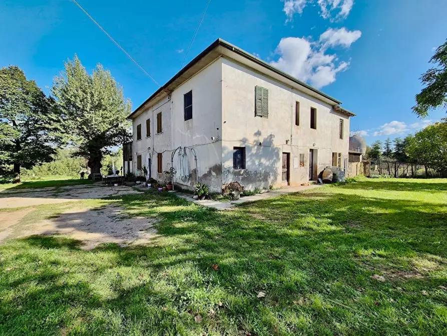 Immagine 13 di Rustico / casale in vendita  a Santa Croce Sull'arno