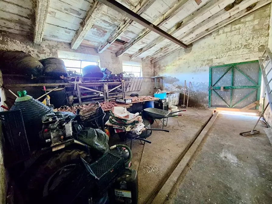 Immagine 36 di Rustico / casale in vendita  a Santa Croce Sull'arno