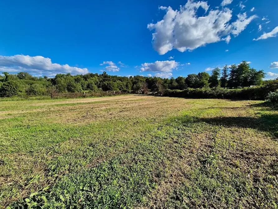 Immagine 8 di Rustico / casale in vendita  a Santa Croce Sull'arno