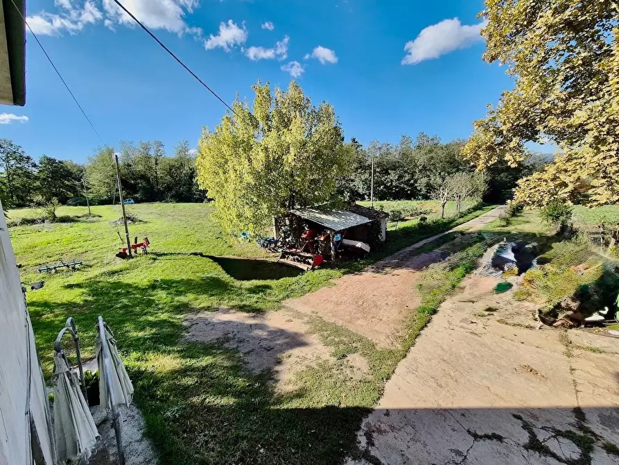 Immagine 27 di Rustico / casale in vendita  a Santa Croce Sull'arno