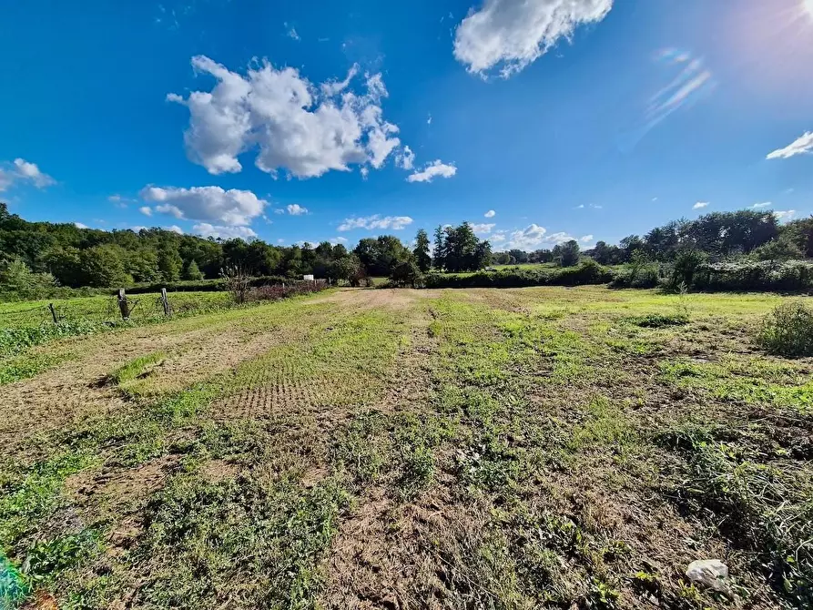 Immagine 7 di Rustico / casale in vendita  a Santa Croce Sull'arno