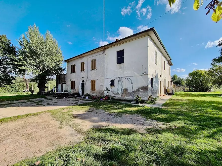 Immagine 14 di Rustico / casale in vendita  a Santa Croce Sull'arno