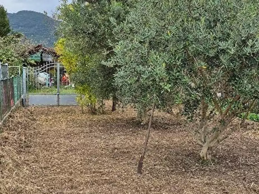 Immagine 14 di Terratetto in vendita  a San Giuliano Terme