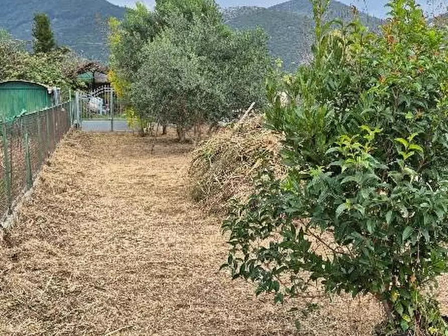 Immagine 13 di Terratetto in vendita  a San Giuliano Terme