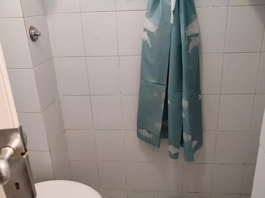 Immagine 12 di Appartamento in affitto  a Livorno