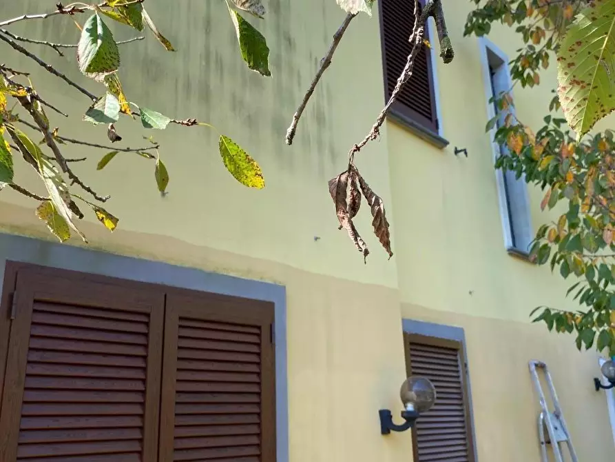 Immagine 4 di Casa indipendente in vendita  a Massa