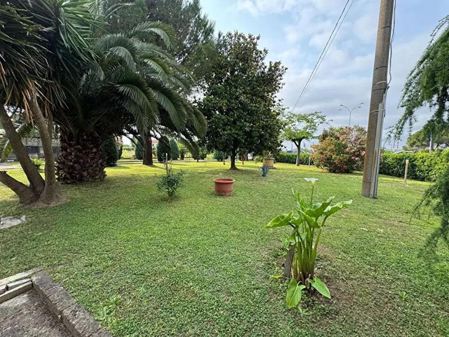 Immagine 3 di Casa bifamiliare in vendita  a San Giuliano Terme