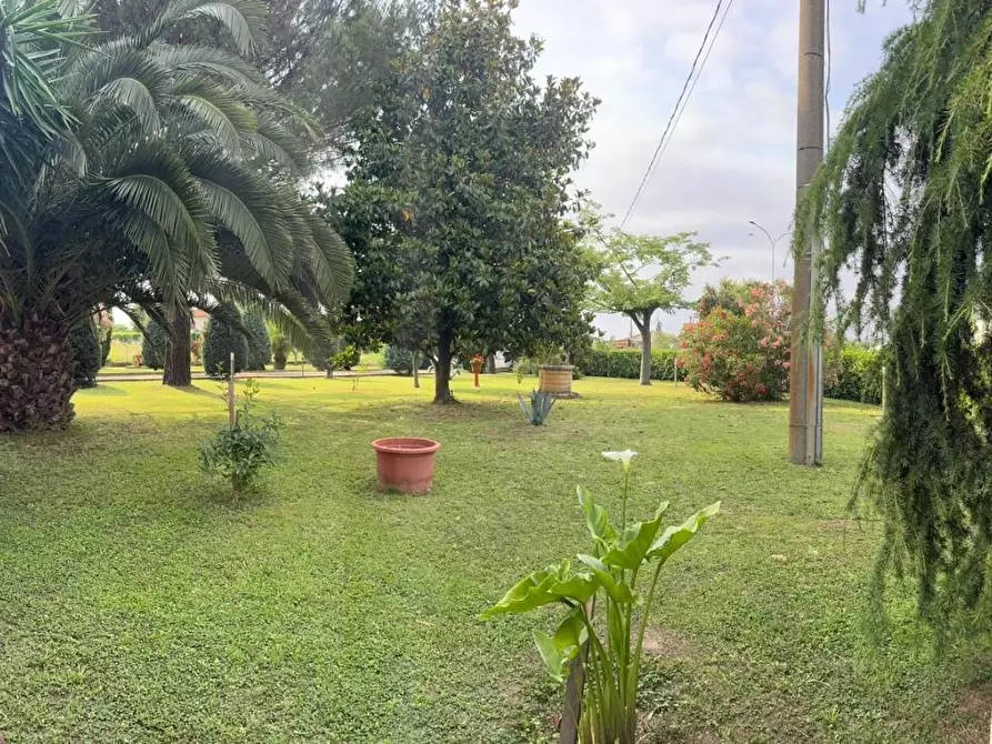 Immagine 4 di Casa bifamiliare in vendita  a San Giuliano Terme