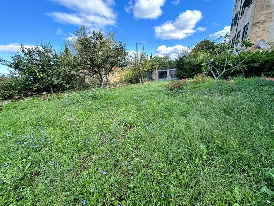 Immagine 41 di Villa in vendita  a Castagneto Carducci