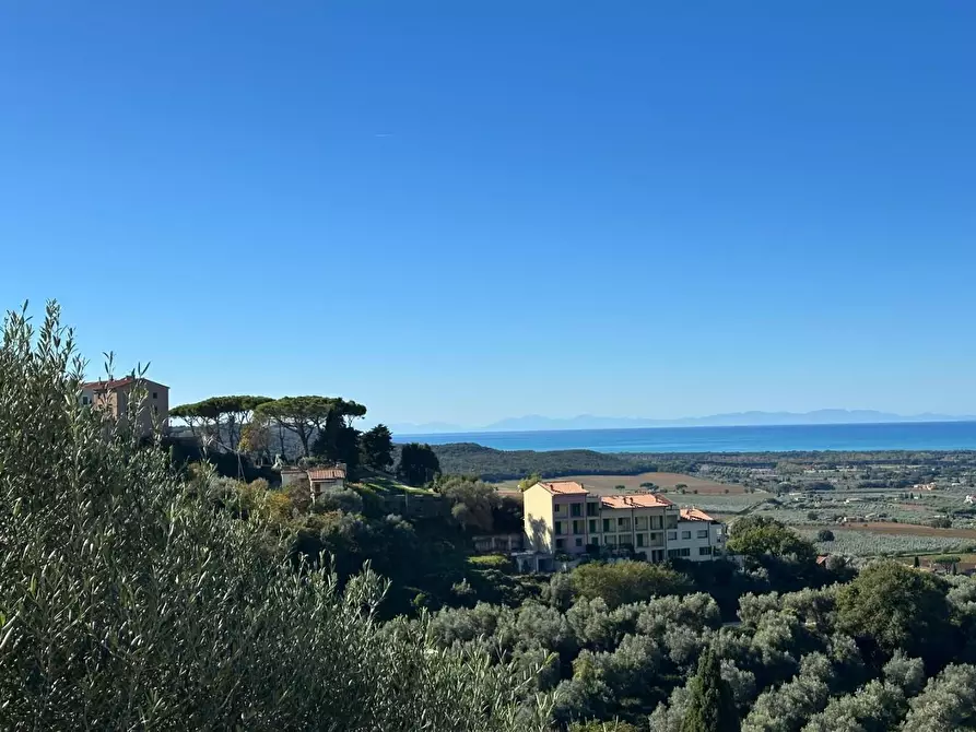 Immagine 77 di Villa in vendita  a Castagneto Carducci