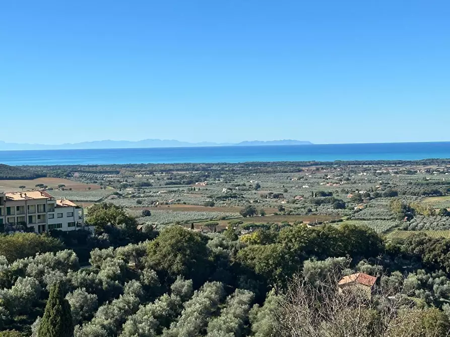 Immagine 74 di Villa in vendita  a Castagneto Carducci
