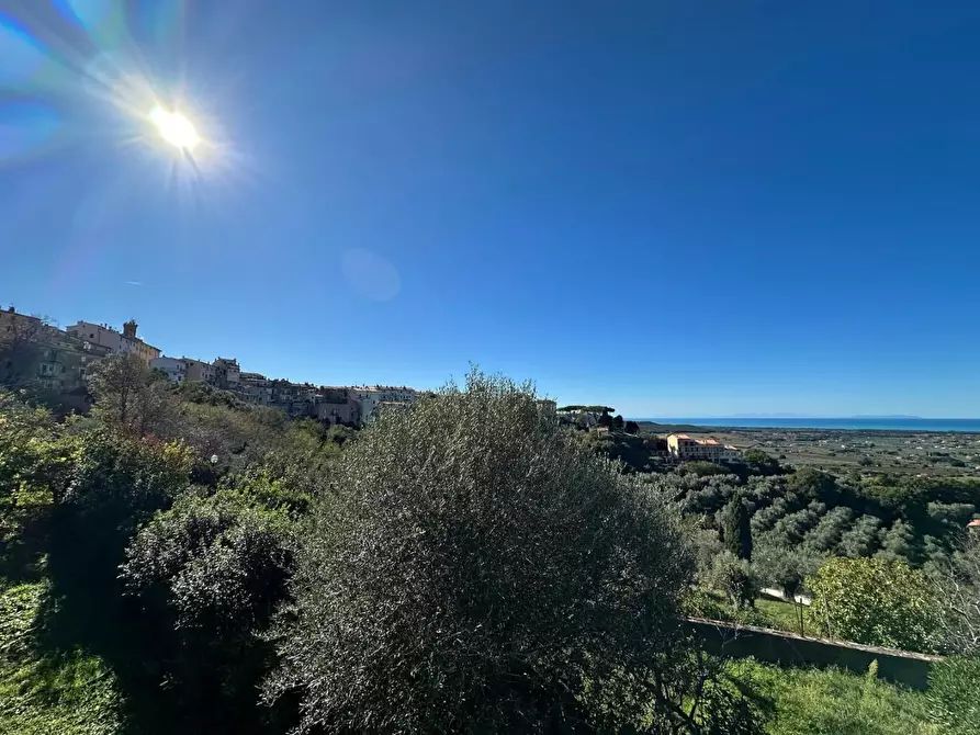 Immagine 75 di Villa in vendita  a Castagneto Carducci