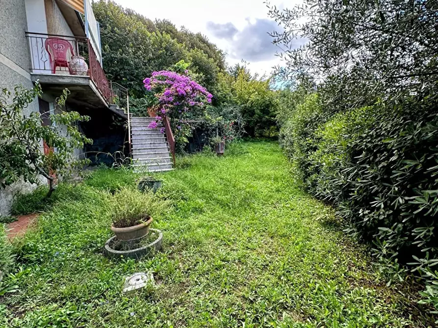 Immagine 6 di Villa in vendita  a Castagneto Carducci