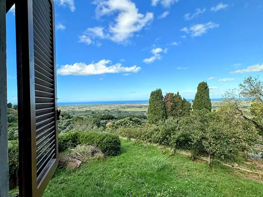 Immagine 24 di Villa in vendita  a Castagneto Carducci