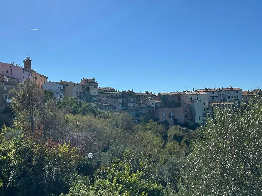 Immagine 76 di Villa in vendita  a Castagneto Carducci