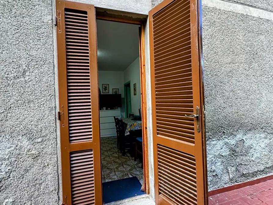 Immagine 42 di Villa in vendita  a Castagneto Carducci