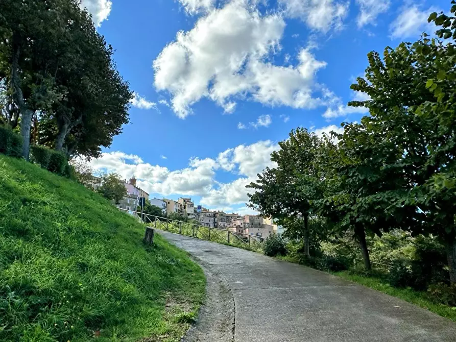 Immagine 52 di Villa in vendita  a Castagneto Carducci