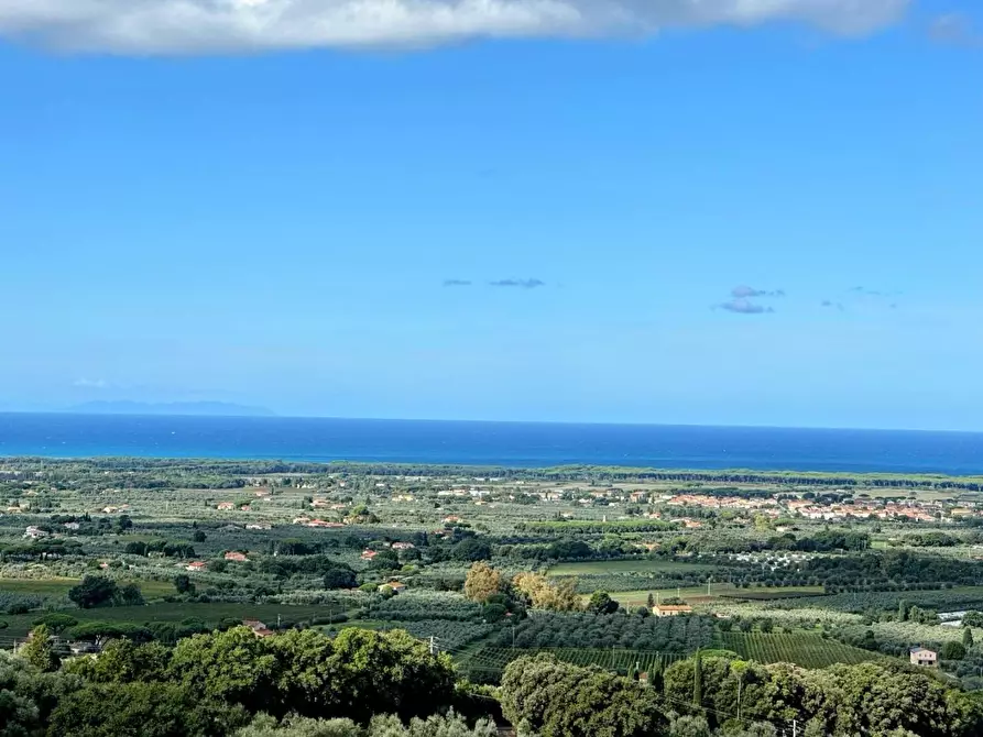 Immagine 23 di Villa in vendita  a Castagneto Carducci