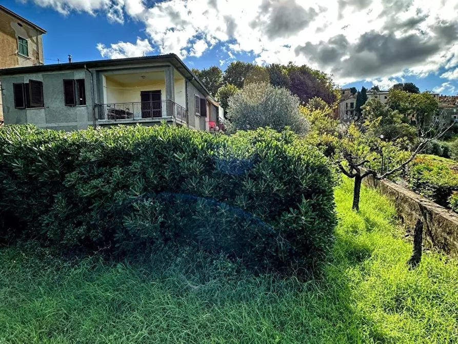 Immagine 36 di Villa in vendita  a Castagneto Carducci