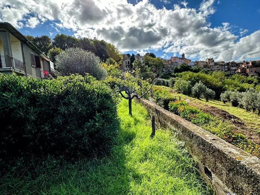 Immagine 38 di Villa in vendita  a Castagneto Carducci