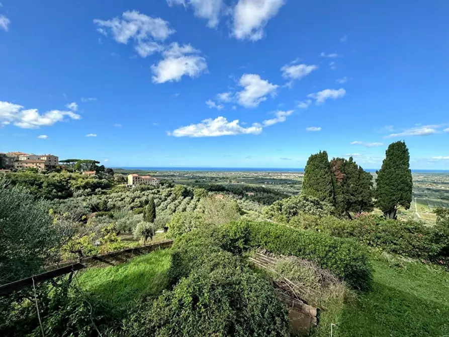 Immagine 18 di Villa in vendita  a Castagneto Carducci