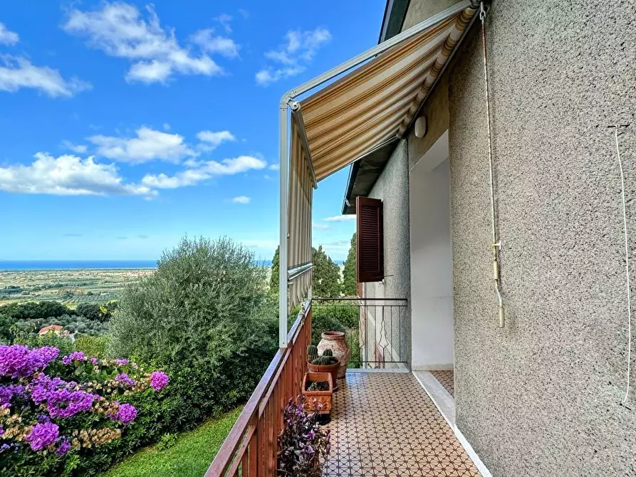Immagine 9 di Villa in vendita  a Castagneto Carducci