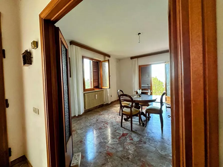 Immagine 13 di Villa in vendita  a Castagneto Carducci