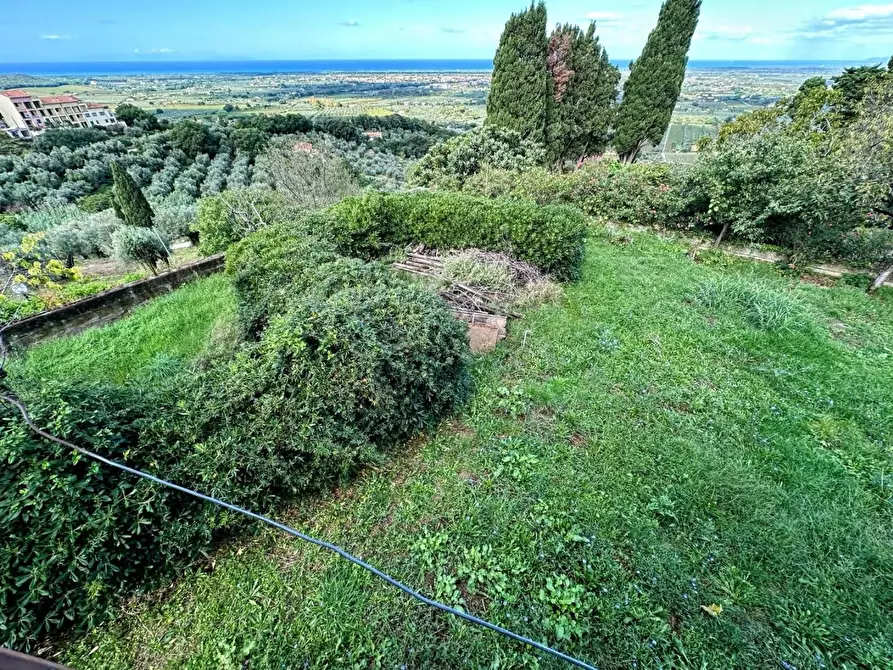 Immagine 29 di Villa in vendita  a Castagneto Carducci