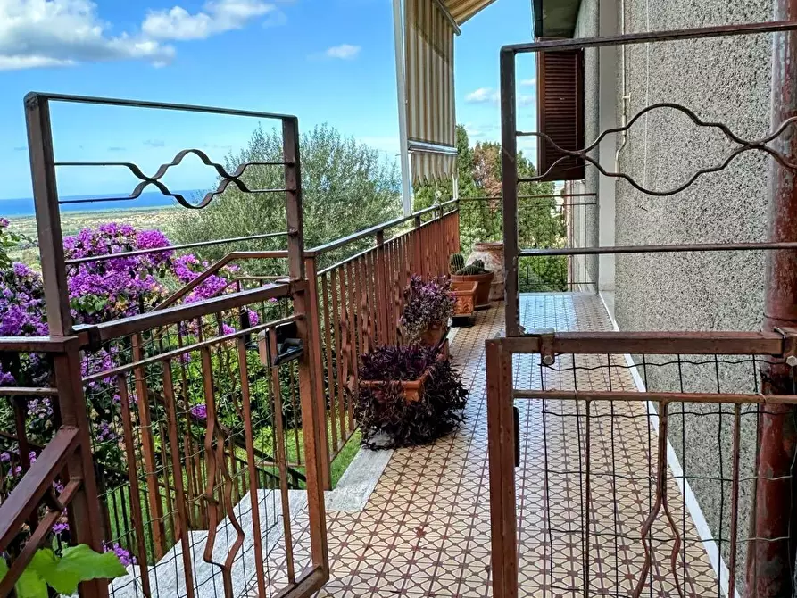 Immagine 4 di Villa in vendita  a Castagneto Carducci