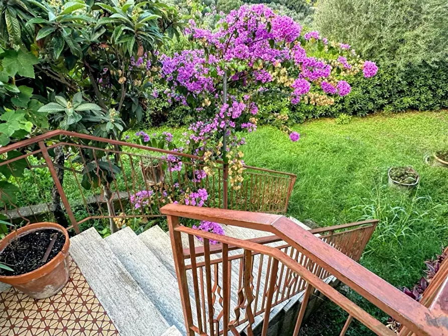 Immagine 5 di Villa in vendita  a Castagneto Carducci