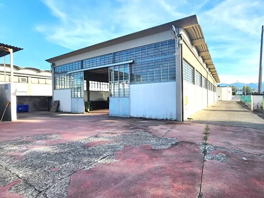 Immagine 4 di Capannone industriale in vendita  a Lucca