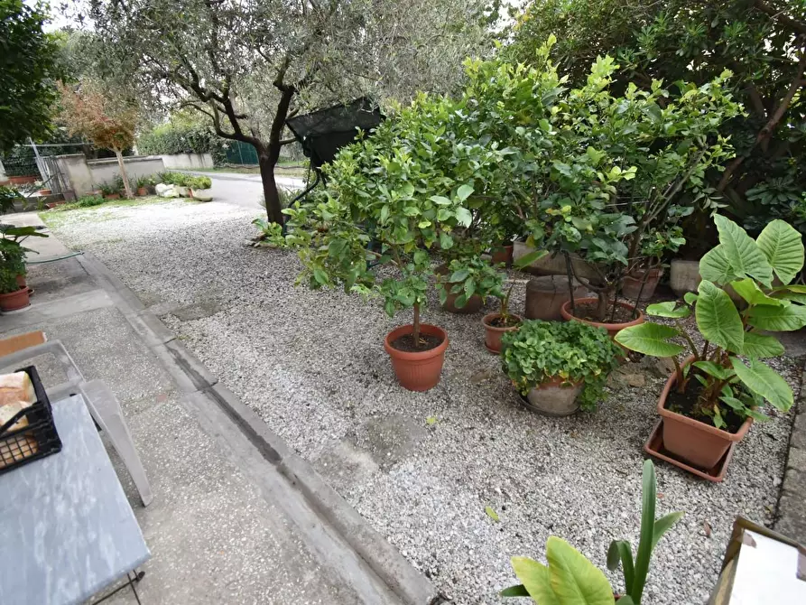 Immagine 11 di Magazzino in vendita  a San Giuliano Terme