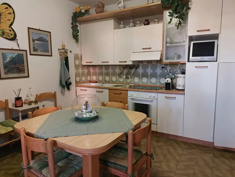 Immagine 17 di Appartamento in vendita  a Cecina