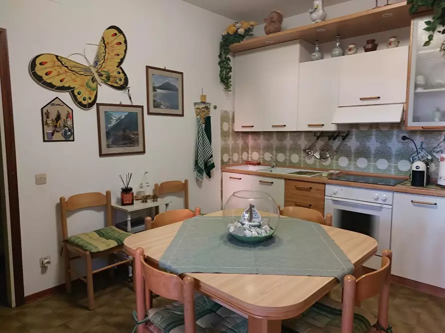 Immagine 16 di Appartamento in vendita  a Cecina