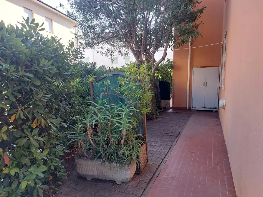 Immagine 20 di Appartamento in vendita  a Cecina