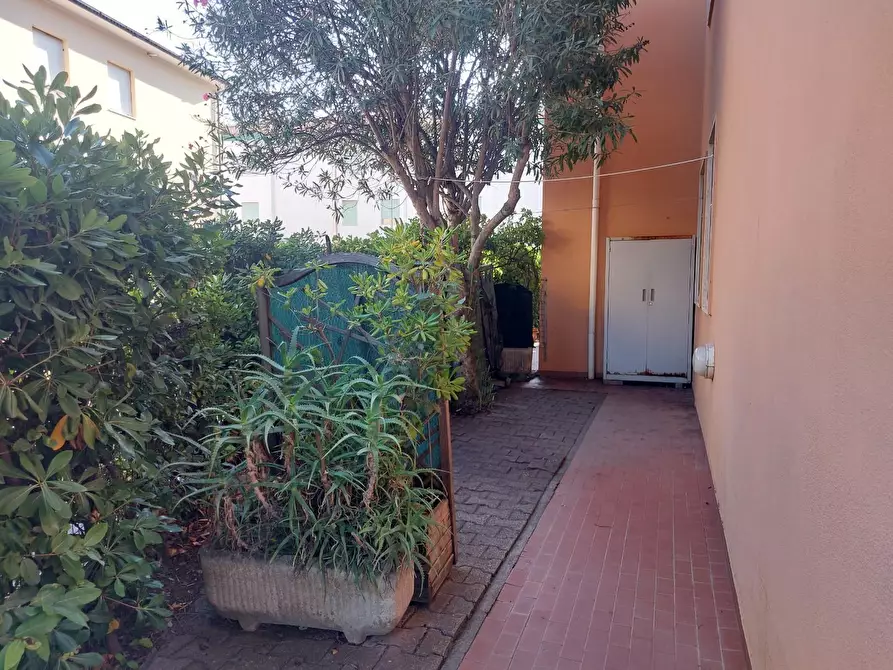 Immagine 19 di Appartamento in vendita  a Cecina