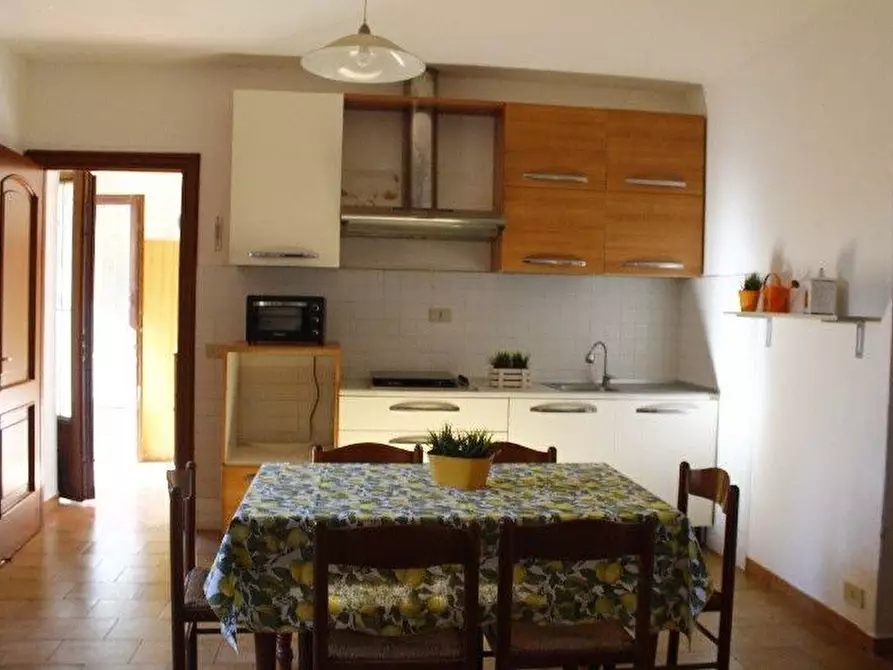 Immagine 9 di Appartamento in vendita  a Santa Luce