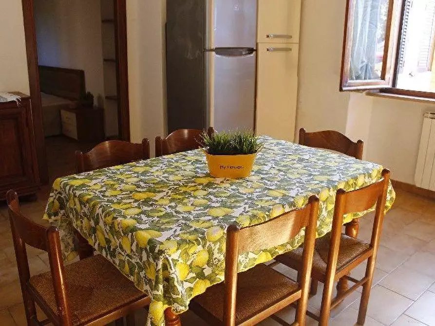 Immagine 7 di Appartamento in vendita  a Santa Luce