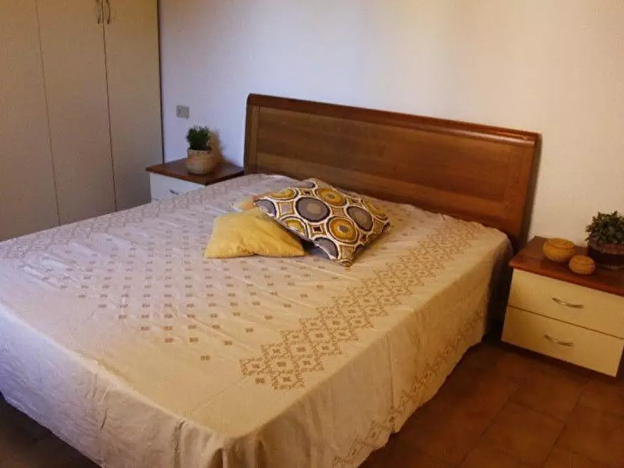 Immagine 11 di Appartamento in vendita  a Santa Luce