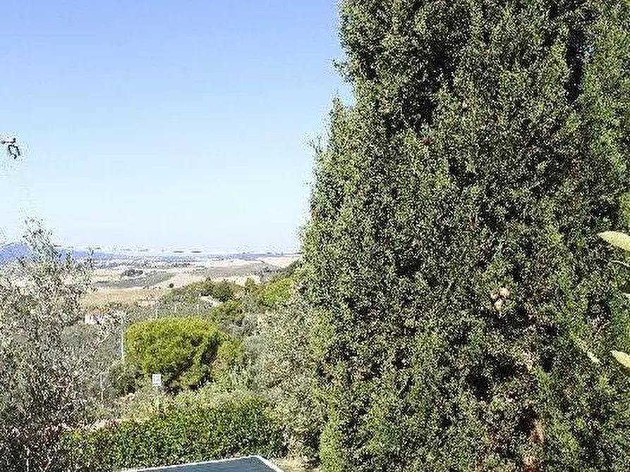 Immagine 31 di Appartamento in vendita  a Santa Luce