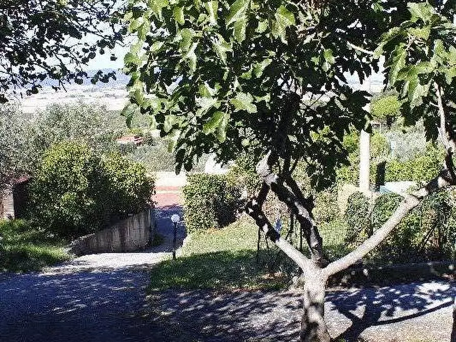 Immagine 30 di Appartamento in vendita  a Santa Luce