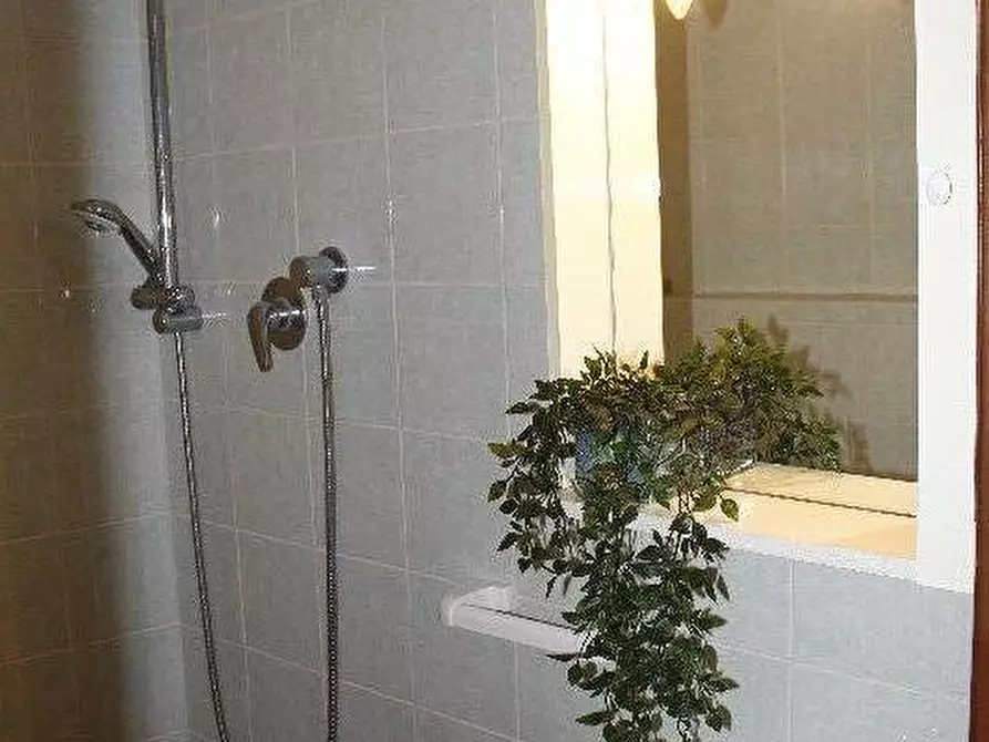 Immagine 18 di Appartamento in vendita  a Santa Luce