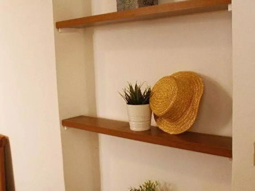 Immagine 15 di Appartamento in vendita  a Santa Luce