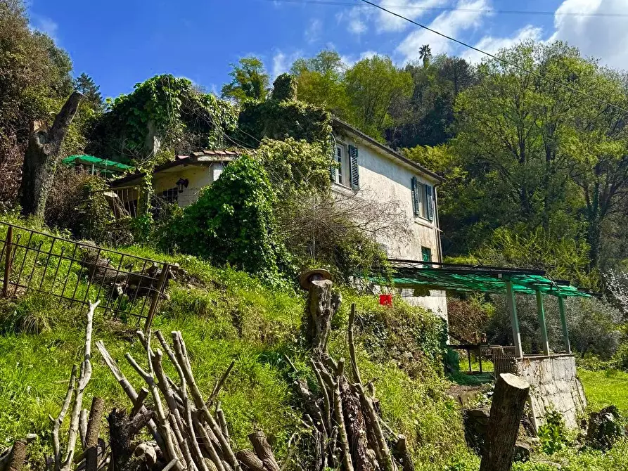 Immagine 11 di Casa colonica in vendita  a Massa