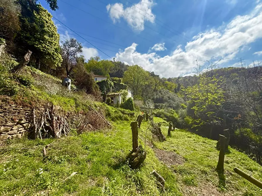 Immagine 12 di Casa colonica in vendita  a Massa