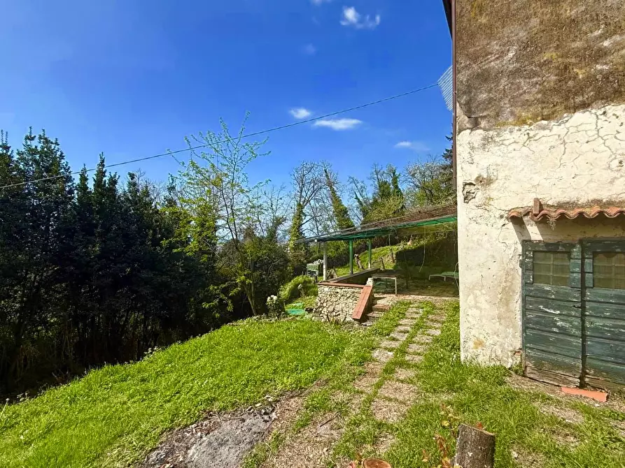 Immagine 10 di Casa colonica in vendita  a Massa