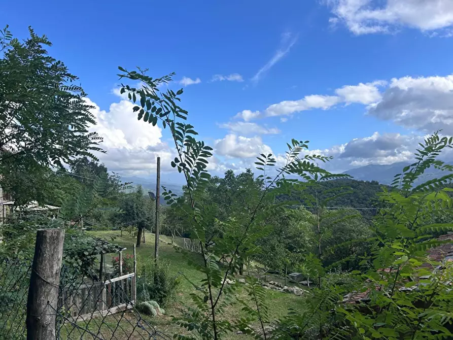 Immagine 12 di Casa indipendente in vendita  a Pontremoli