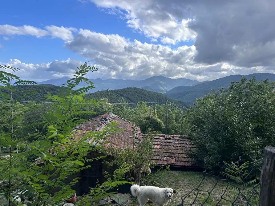 Immagine 11 di Casa indipendente in vendita  a Pontremoli